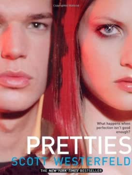 Pretties Summary