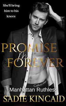 Promise Me Forever Summary