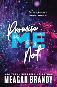 Promise Me Not Summary