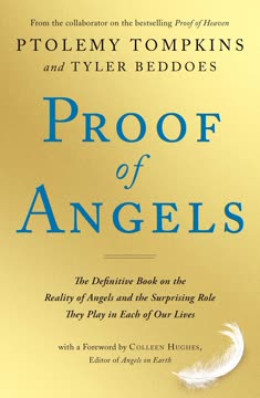 Proof of Angels Summary