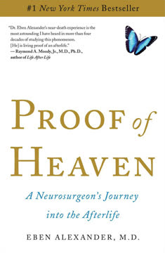 Proof of Heaven Summary