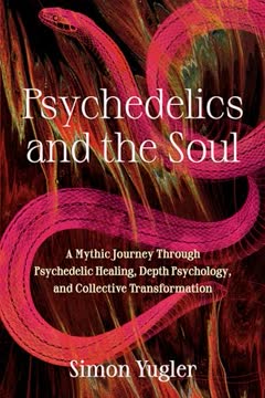 Psychedelics and the Soul Summary
