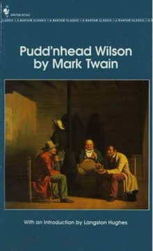 Pudd&#039;nhead Wilson Summary