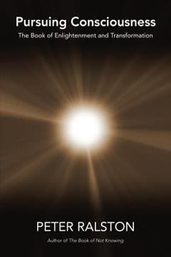 Pursuing Consciousness Summary