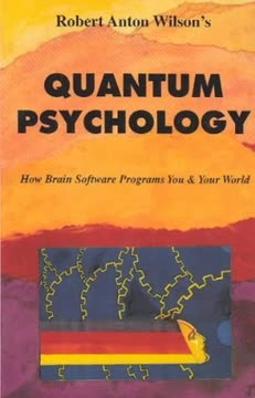 Quantum Psychology Summary