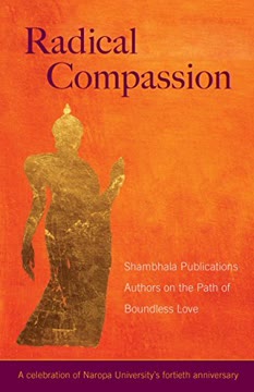 Radical Compassion Summary