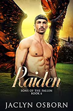 Raiden Summary