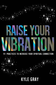 Raise Your Vibration Summary