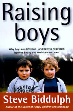 Raising Boys Summary