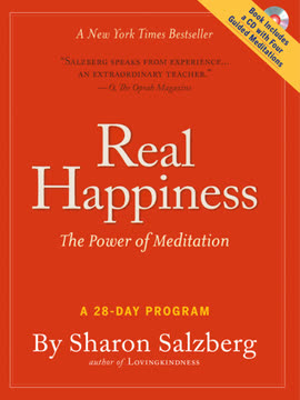 Real Happiness Summary