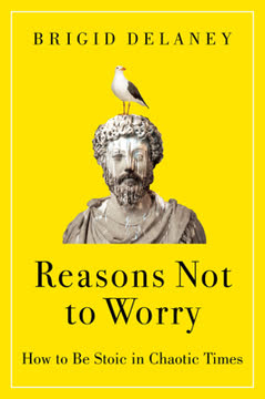 Reasons Not to Worry Summary