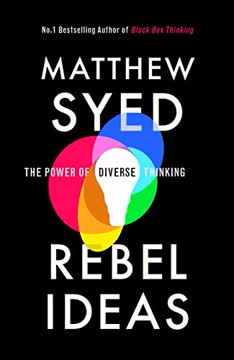 Rebel Ideas Summary