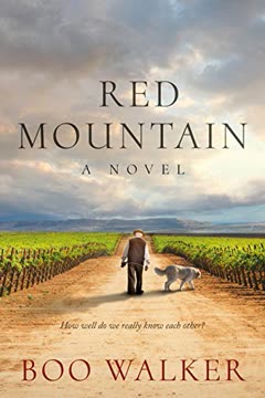 Red Mountain Summary