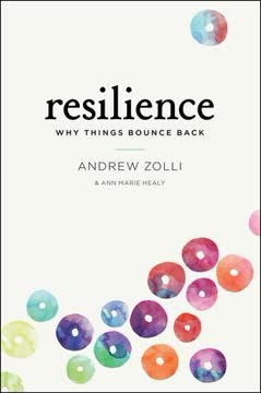Resilience Summary