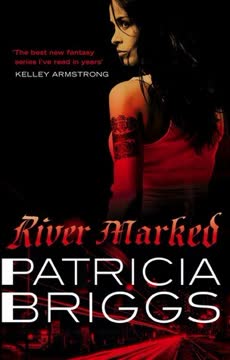 River Marked Summary