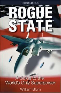 Rogue State Summary