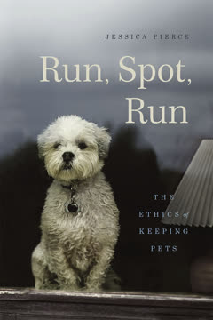 Run, Spot, Run Summary