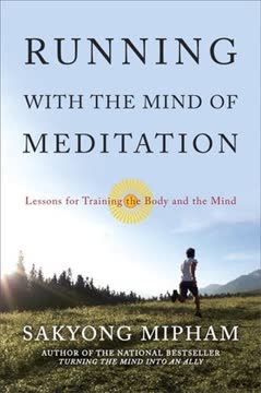Running with the Mind of Meditation Summary