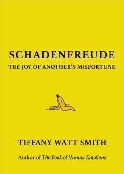 Schadenfreude Summary