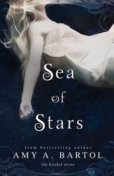 Sea of Stars Summary