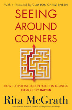 Seeing Around Corners Summary