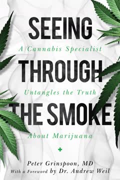 Seeing through the Smoke Summary