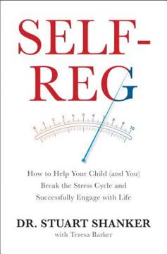 Self-Reg Summary