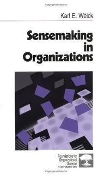 Sensemaking in Organizations Summary