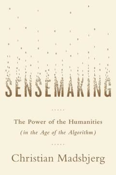 Sensemaking Summary