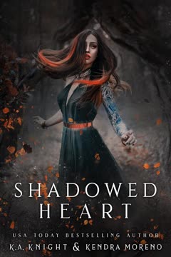 Shadowed Heart Summary