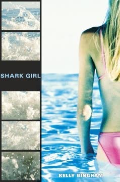 Shark Girl Summary