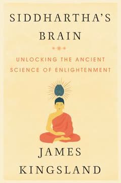 Siddhartha&#039;s Brain Summary