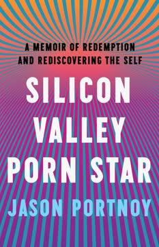Silicon Valley Porn Star Summary