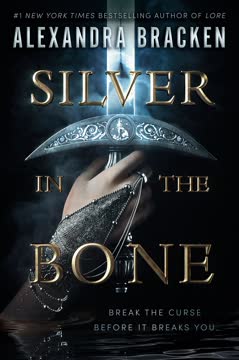 Silver in the Bone Summary