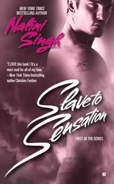 Slave to Sensation Summary