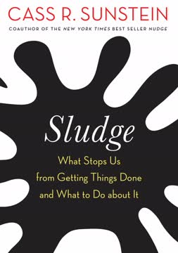 Sludge Summary