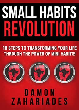 Small Habits Revolution Summary