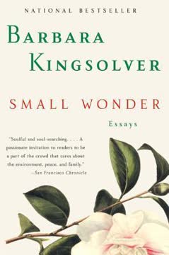 Small Wonder Summary