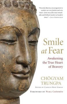 Smile at Fear Summary