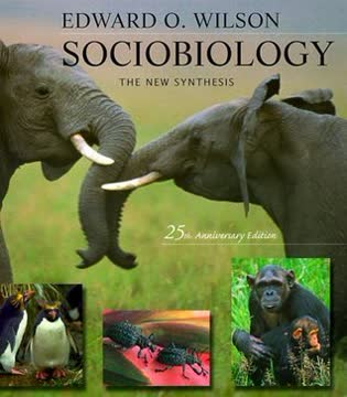 Sociobiology Summary