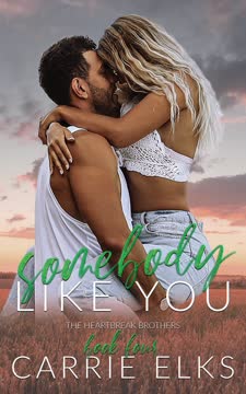 Somebody Like You Summary