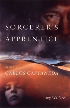 Sorcerer&#039;s Apprentice Summary