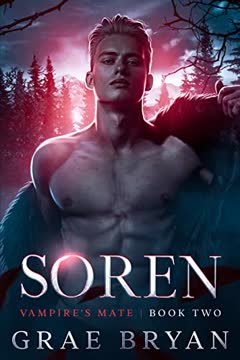 Soren Summary
