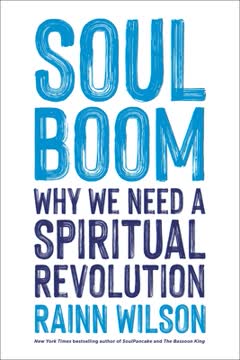 Soul Boom Summary