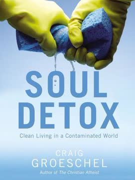 Soul Detox Summary