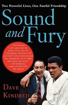 Sound and Fury Summary