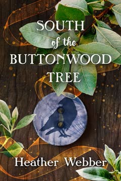 South of the Buttonwood Tree Summary