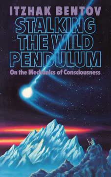 Stalking the Wild Pendulum Summary