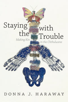 Staying with the Trouble Summary
