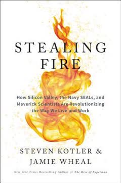 Stealing Fire Summary